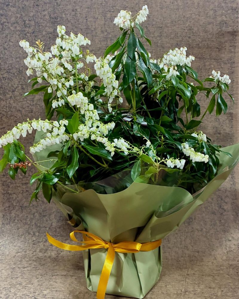 Свеж цветен аранжман фотографиран на природна светлина